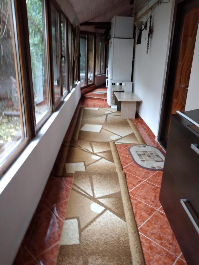 Ada-Ini House Villa Craiova Buitenkant foto
